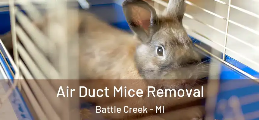Air Duct Mice Removal Battle Creek - MI