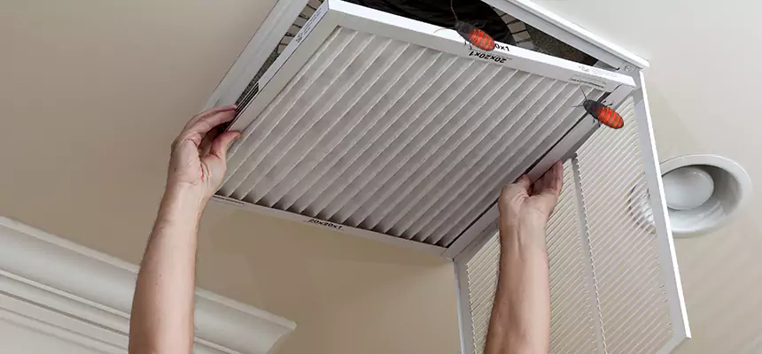 Preventive Cockroach-Proofing for Ducts in Battle Creek
