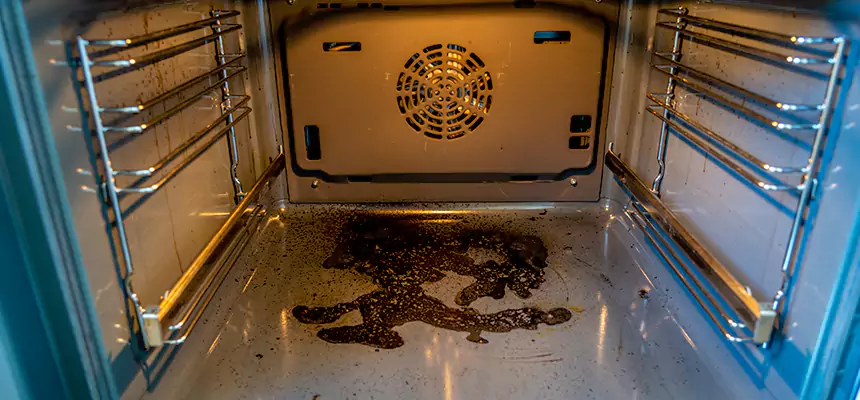 Our Dryer Vent Mold Cleaning Services in Battle Creek, MI