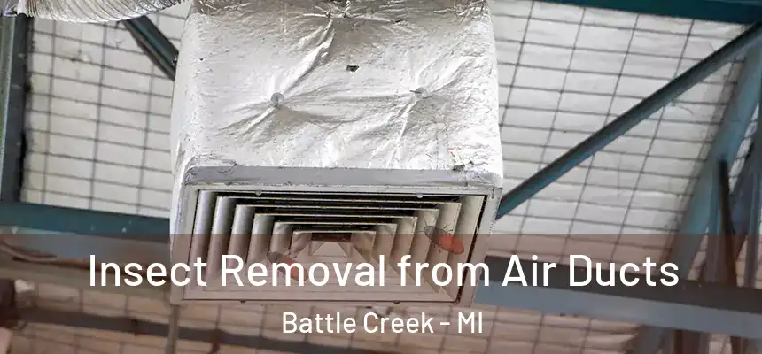 Insect Removal from Air Ducts Battle Creek - MI