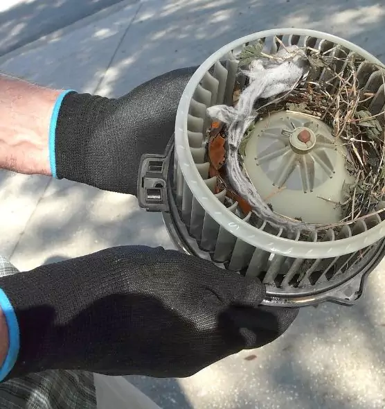 About Air Duct Rat Removal in Battle Creek, MI