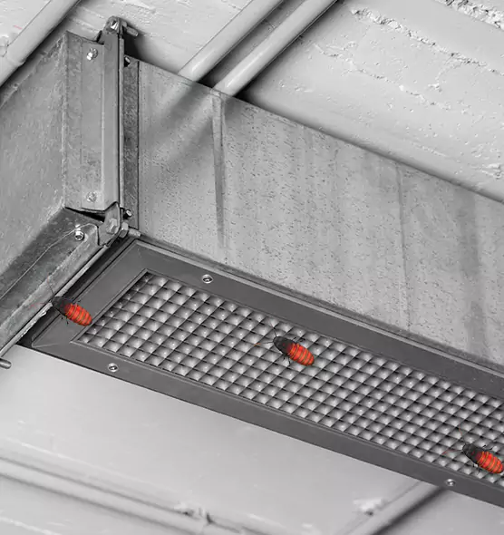 Affordable Insect Removal from Air Ducts in Battle Creek, MI