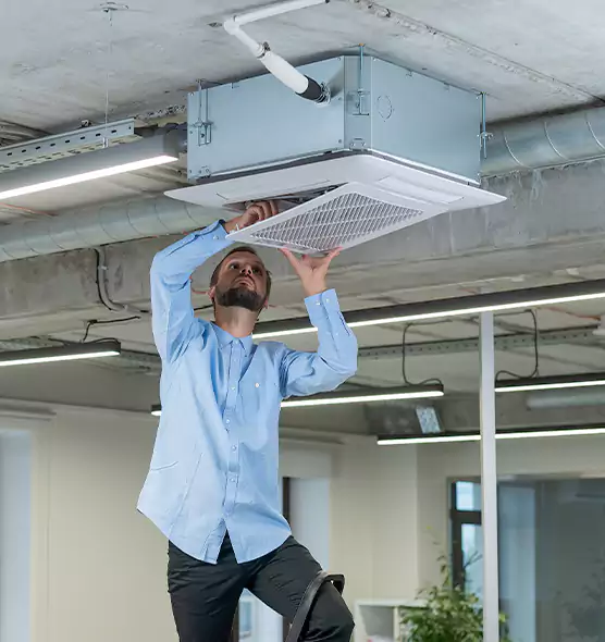 Advanced Rodent Droppings In Vents in Battle Creek, MI