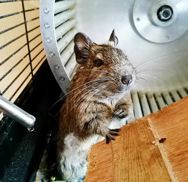 Why Homeowners & Businesses Trust Us Battle Creek, MI?